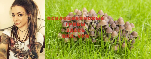 марки nbome Тайга