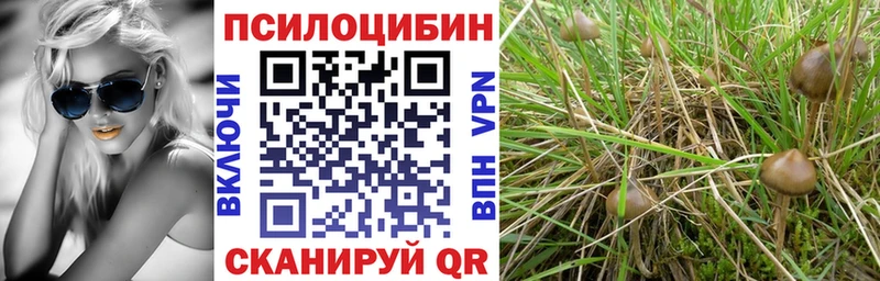 Галлюциногенные грибы Cubensis  Фокино 